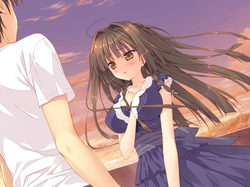 7b817d961a7b3ca39794c78823ecc9b0 【ADV/汉化】ちいさな彼女の小夜曲【CG包+本体/PC】